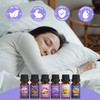 SALKING Sleep Essential Oils Set, Pure and Natural Essential Oils, Fragrance