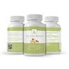 PURE ORIGINAL INGREDIENTS Yacon Root, (100 Capsules) Always Pure, No