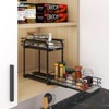 BOIVSHI Spice Rack Organizer for Cabinet, 2 Tier Pull Out