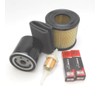 Service Kit for Briggs and Stratton Vanguard OHV 290442 290446