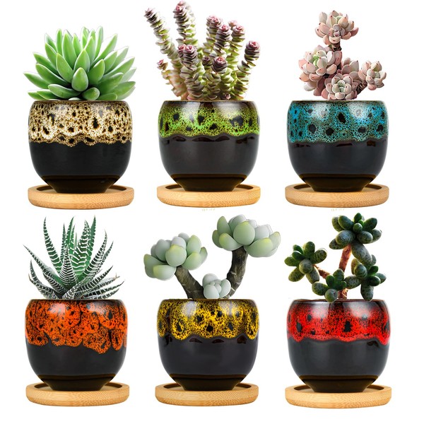 T9TDCS Cute Ceramic Succulent Pots, 2.2 Inch Small Plant Pots
