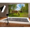 AOFOTO 7x5ft Horses in Paddock Backdrop Equestrian Rural Turkey Farm