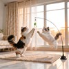 WOWOOF PET Interactive Cat Toys for Indoor Cats, Flying Bird