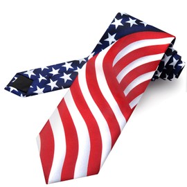 JUNMEISI Men's American Flag Ties 3.27" (8.3CM) USA Flag Necktie For Men
