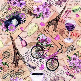 20 Napkins Insights into Paris as Table Decoration for Lovers of Paris and France 33 x 33 cm