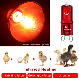 Heat Lamp for Chickens Coop Chick Brooder, Infrared Flood Light Red Bulbs Replaceable E26 Base 50 Watt Chick Heater for Reptile Pets Duckling Poultry Livestock