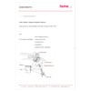 Schläfer | 4538023 - Universal Toilettensitz Scharniere, Paar verstellbare Messing-Ersatzscharniere