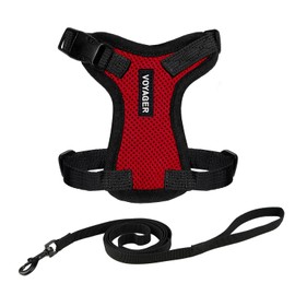 Voyager Step-in Lock Adjustable Cat Harness w. Cat Leash Combo Set with Neoprene Handle 5ft - Supports Small, Medium and Large Breed Cats by Best Pet Supplies - Red/Black Trim, XXS