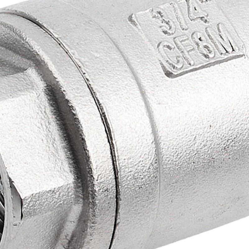 Stainless Steel Spring Check Valve Vertical WOG 1000 DN20 3/4