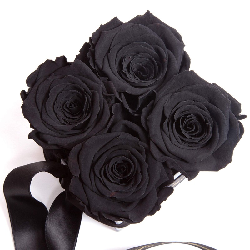 ROSEMARIE SCHULZ Heidelberg Rose Box with Desired Text and Infinity
