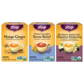 Yogi Tea - Iced Tea Variety Pack Sampler (3 Pack) - Includes Mango Ginger, Honey Lavender Stress Relief, and Blackberry Apple Cider Digestive Awakening Teas - 48 Tea Bags