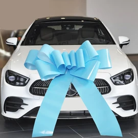 Giant Bow for Car,Big Sky Blue Car Bow 30inch Large Giant Bow for Gifts,Large Gift Wrapping Bow for Large Gift Decoration for Christmas,New House,Car,Party,Festival. (Sky Blue)