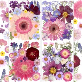 Augshy 92Pcs Pressed Dried Flowers, Real Natural Dried Flowers for Resin Molds Big Purple Pink Dry Pressed Floral for Crafts DIY Jewelry, Soap Making, Scrapbooking, Candle, Epoxy Resin Supplies