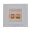 BAOBLADE Speaker Terminal Square Shape Wall Face Plate with 2