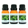 Crazy Candles Pinon 3 Bottles 1/2 Fl Oz Each (15ml)