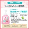 arau. Baby Full Body Foam Soap, Sensitive Skin Refill, Large