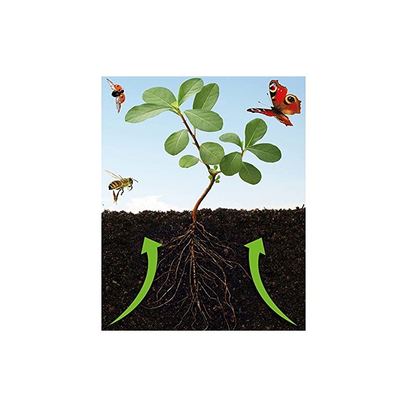 Growing Success Natural Power Bug Stop 800ml RTU