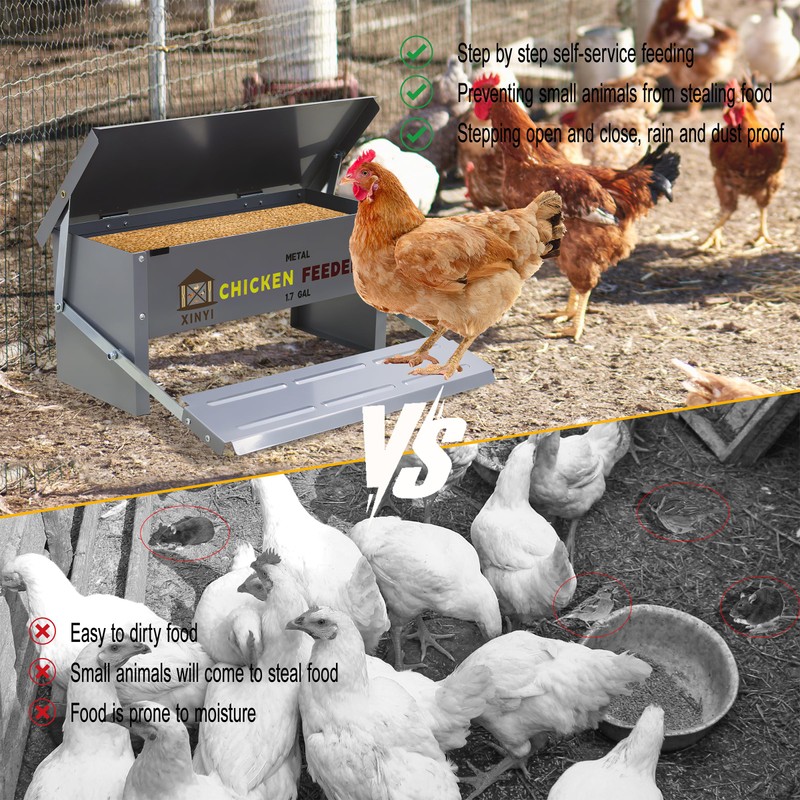 XINYI Chicken Treadle Feeder,12 Lbs Metal Treadle Feeder, No Waste