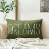 Emvency Olive Green Throw Pillow Cover Rustic Follow Your Dreams