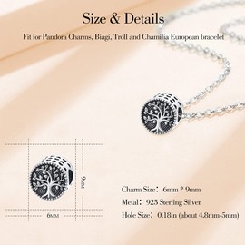 Eusense Charm 925 Sterling Silver Bead Charms, Fit European Bracelets, Bracelet Pendant Jewellery Gift, Sterling Silver