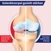 Gelencium Arthro drops: for targeted treatment of joints in osteoarthritis,