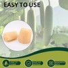 Esponja Luffa Natural, Multusos para baño y Cocina, Exfoliante