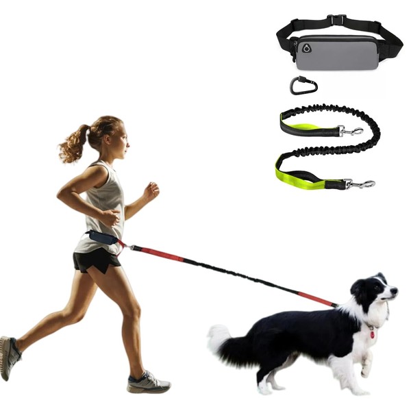 Generic Versatile Fanny Back with a Hand-Free Leash（51in），Retractable Leash perfectlly