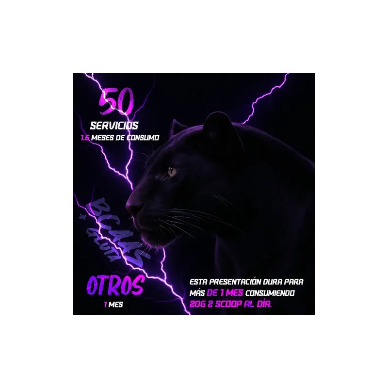 Bcaas + Glutamina Panther Protein 1kg 50 Servicios