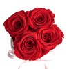 Rosmarie Schulz Heidelberg Rose Box, White Round Infinity Rose, Flower