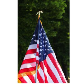 Frunke Eagle Flagpole Topper Metal Eagle Flag Pole Finial 6" Tall Top Head for 1 inch Diameter Flagpoles, 4.5-inch Wingspan Small Size Eagle Pole Toppers for Outdoor Indoor