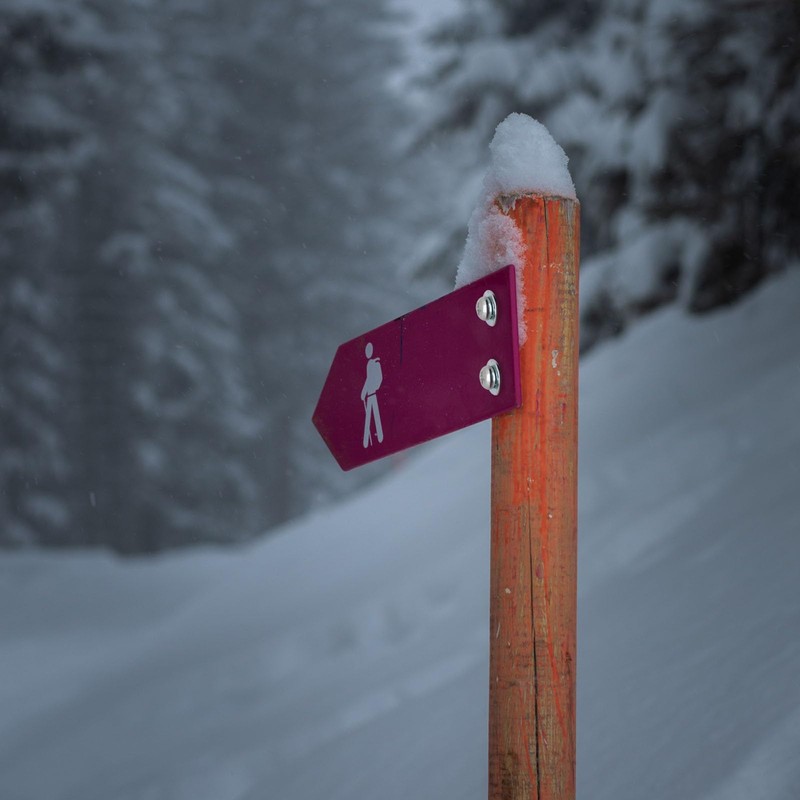 BENLIUDH 20pcs Hollow Wall Anchors for Thin Walls Heavy Duty,