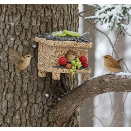 Seeded Birdhouse for Outside with Fruit, Wooden Bird House for Wren, Finch, Bluebird,Cardinal, Hanging Seeded Birdfeeder, Bird Seeds Decorated Weather Proof, More Fun Birding (Villa)