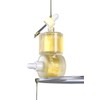 Bottederm Jojoba Oil 50ml / 보떼덤 호호바 오일 50ml