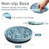 AXEFUN Silicone Slow Feeder Dog Bowl – Sky Blue Bone