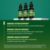 Stinging Nettle Leaf Extract Liquid Drops - USDA Organic -