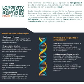 COLLAGEN + NAD+ Longevity Collagen Peptides NAD+ Enhanced - 300 capsulas (3400 mg por porcion) by Eternal Nutrition - Péptidos de Colageno Tipo I, II, II, V y X con NAD+-Ingredientes Naturales Premium