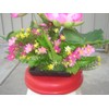 Plastic Artificial Lotus Flower with Black Square Procelain Pot