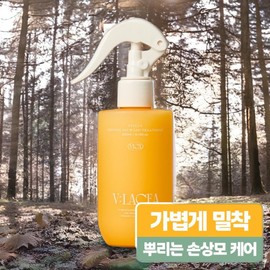 Blasea Hair Oil Hair Nutrition Hair Care Vivesa Hair Defense Essence 1ea 200ml / 블라세아 헤어오일 모발영양 모발관리 비베사 헤어 디펜스 에센스 1개 200ml
