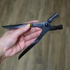 Tree Scissors, Scissors