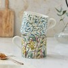 Portmeirion Home & Gifts Spode Morris & Co Daffodil &