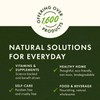 Swanson Astragalus Root - Herbal Supplement Promoting Immune System Support