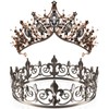 2 Pcs Crowns for Men Women Baroque Queen Crown King