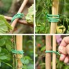 PGarden-EZ Plant Ties - 32.8ft Soft Twist Ties Green TPR