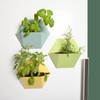 Thumbs Up Pack of 3 Magnetic Wall Planters Flower Pots