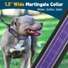No Pull Martingale Collar for Medium Large Dogs Precision Fit