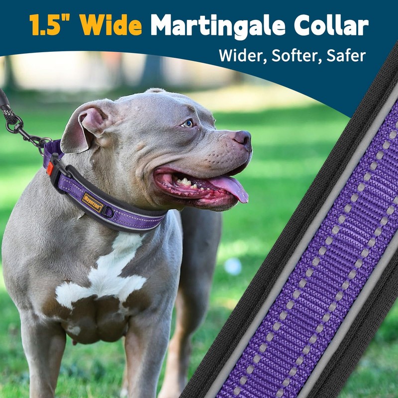 No Pull Martingale Collar for Medium Large Dogs Precision Fit