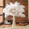 Retrowavy 200 Pieces Natural Ostrich Feathers Bulk Plumes Flower Arrangement