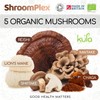 ShroomPlex Organic Mushroom Complex - Immune Boosting Mushroom Blend -