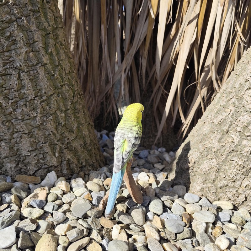 Vivid Arts - Budgies Garden Ornament Bird Sculpture (Budgie, Green)
