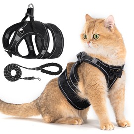 Cat Harness and Leash Set for Outdoor Walking, Escape Proof Adjustable Kitten Vest Harnesses with Soft Breathable Mesh, Lightweight Cat Vest Harnes for Small Dog Puppy Rabbit & Small Animal